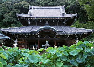 image: Kyoto