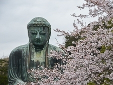 Kamakura Travel Guide