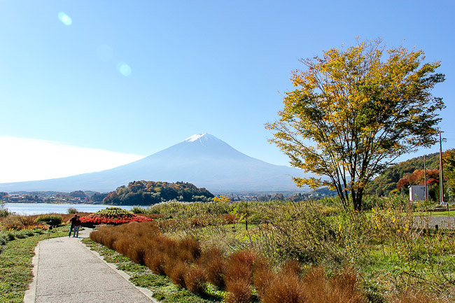 Autumn Color Report 2014: Fuji Report