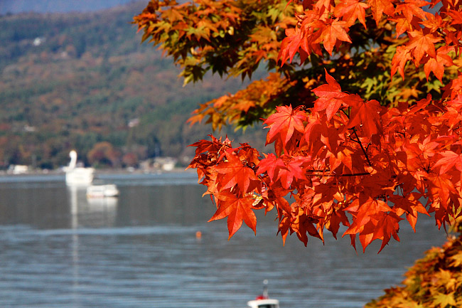 autumn color report mount fuji