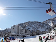 Yuzawa Travel Guide