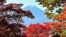 Bus Timetable: Mount Fuji Buses during the Climbing Season