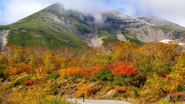 Autumn Color Reports 2018 - Alpine Route: Peak Colors