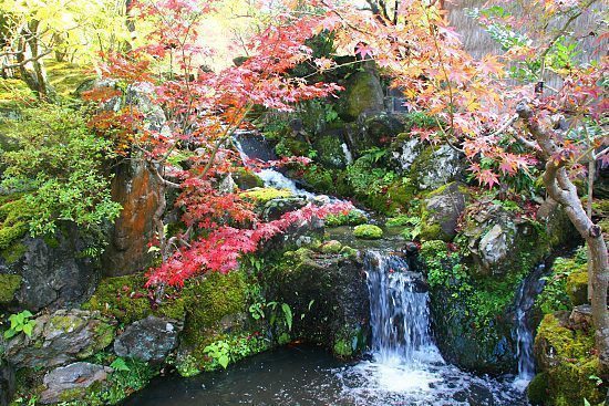 Autumn Color Report 2009: Nara