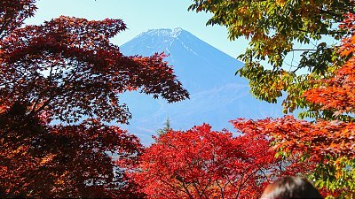 Mount Fuji Travel Guide - What to do around Fujisan