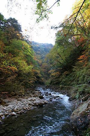 Autumn Color Blog 2008: Nishizawa Valley