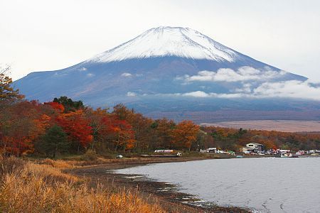 Autumn Color Blog 2008: Fuji Five Lakes