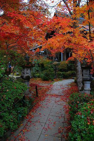 Autumn Color Blog 2008: Kyoto Report (1/4)