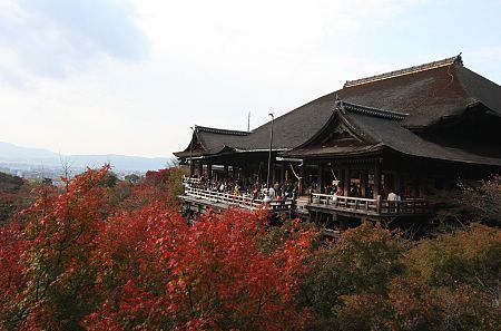 Autumn Color Blog 2008: Kyoto Report (4/4)