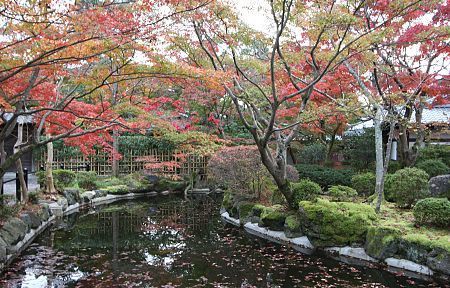 Autumn Color Blog 2008: Kyoto Report (4/4)