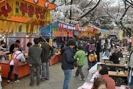 Cherry Blossom Report 2009: Tokyo Report