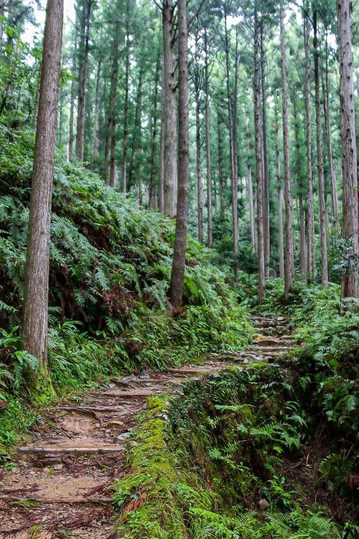 Home Delivery by japan-guide.com - Worshipping mountains