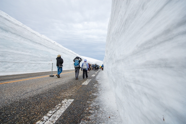 Jess Japan Travel Journal Alpen Route Snow Wall 16