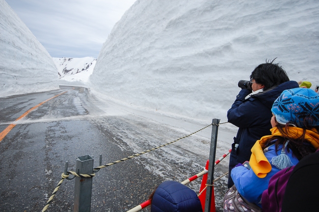 Jess Japan Travel Journal Alpen Route Snow Wall 16