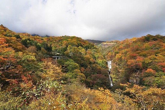 Autumn Color Report 2010: Nikko Report