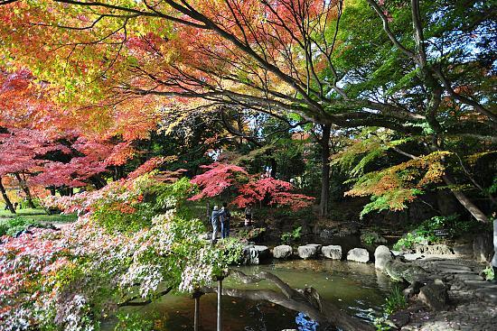 Scott's Japan Travel Journal: Autumn Color Report: Tokyo