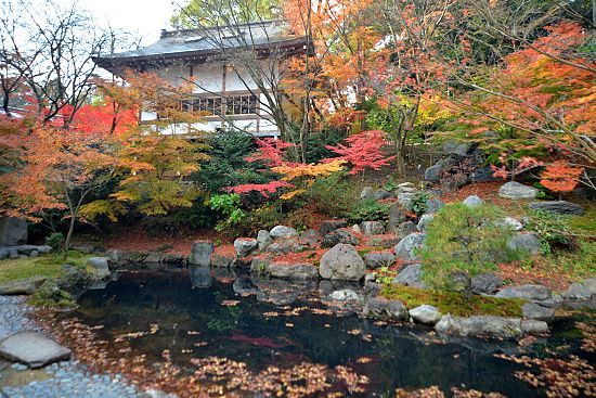 Scott's Japan Travel Journal: Autumn Color Report: Kyoto