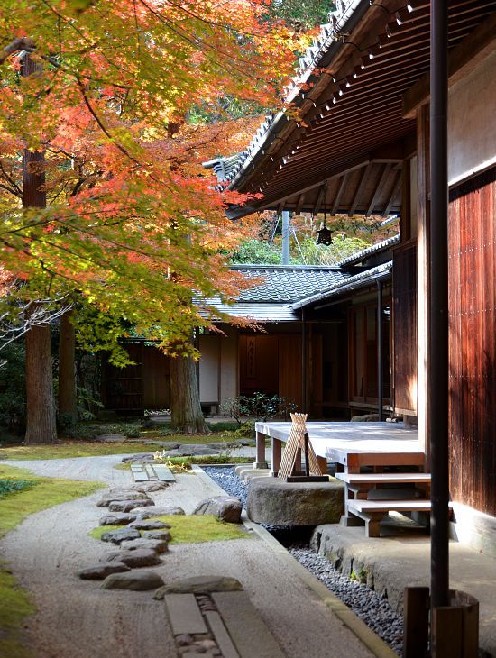 Autumn Color Report 2012: Kamakura Report