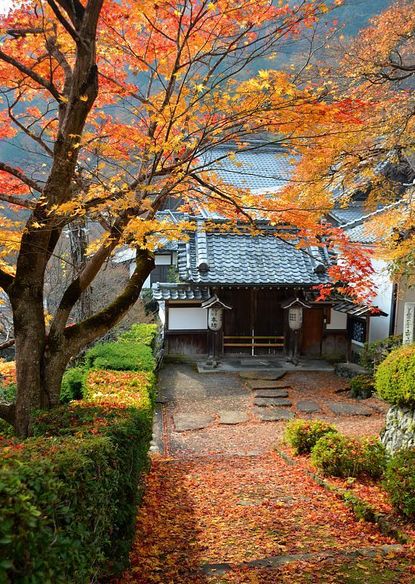 Scott's Japan Travel Journal: Autumn Color Report: Kyoto