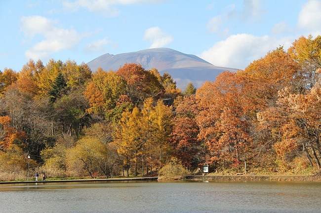 Autumn Color Report 2013: Karuizawa Report