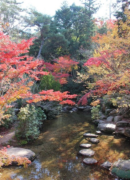 Sean's Japan Travel Journal: Miyajima Report