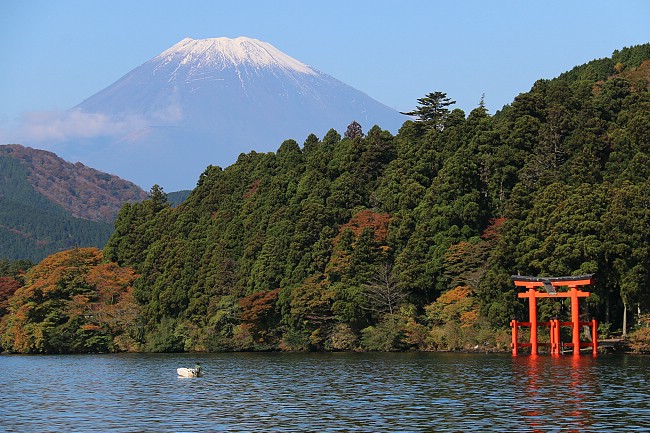 Autumn Color Report 2014: Hakone Report