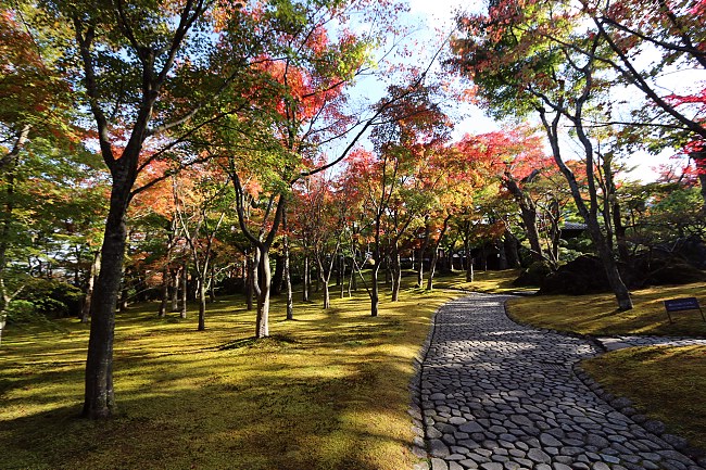 Joe's Japan Travel Journal: Autumn Color Report: Hakone