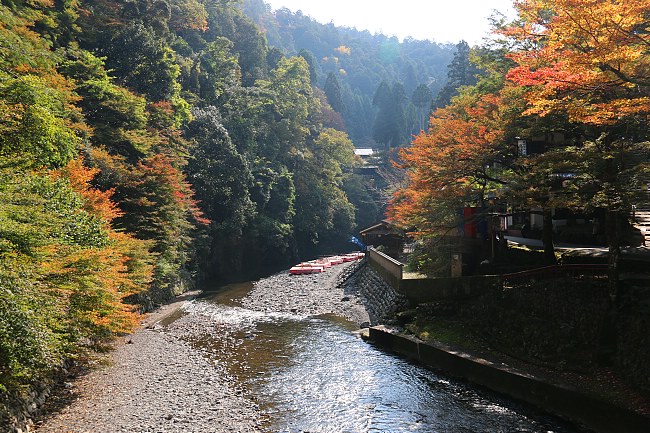 Autumn Color Report 2014: Kyoto Report