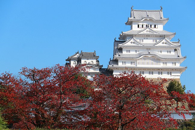 Autumn Color Report 2014: Himeji Report