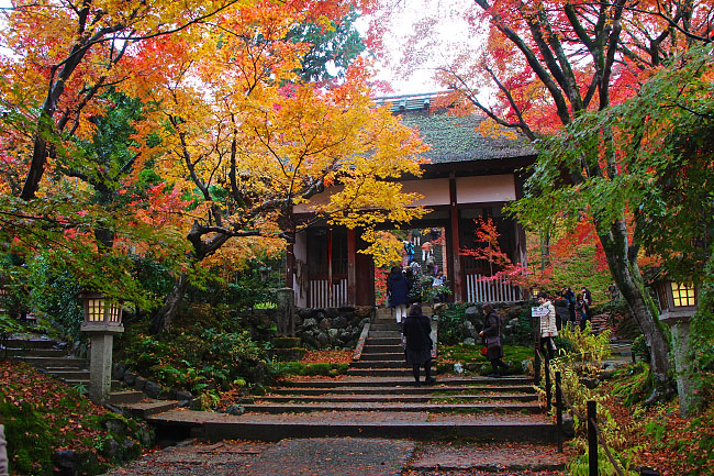 Autumn Color Report 2014: Kyoto Report