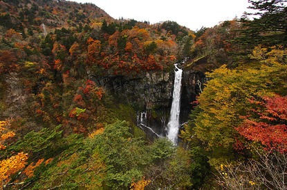 Autumn Color Report 2014: Nikko Report