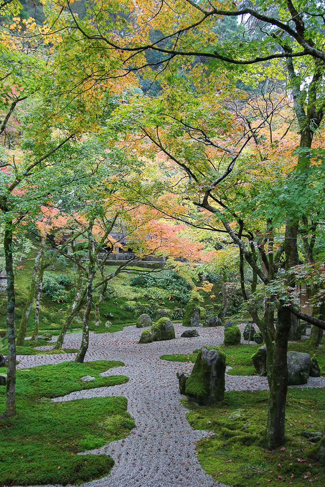 Autumn Color Report 2015: Dazaifu Report