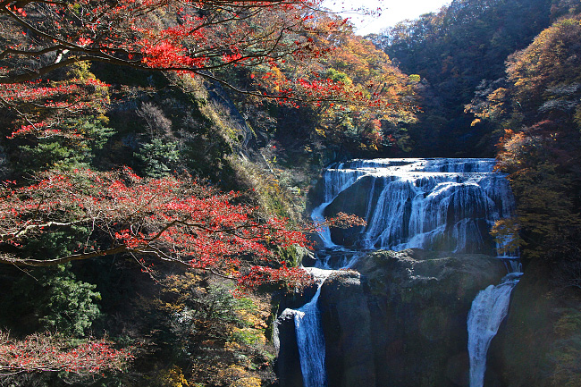 Autumn Color Report 2015: Fukuroda Falls Report