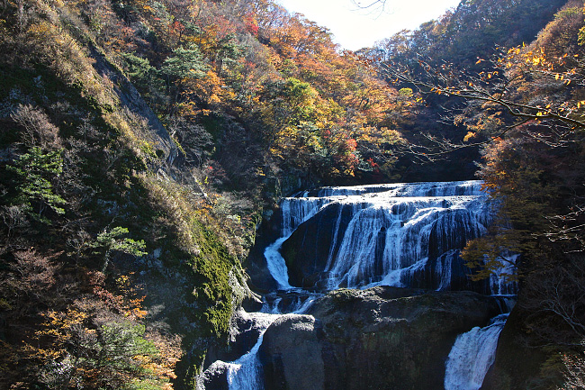 Autumn Color Report 2015: Fukuroda Falls Report