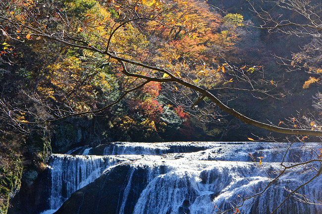 Autumn Color Report 2015: Fukuroda Falls Report