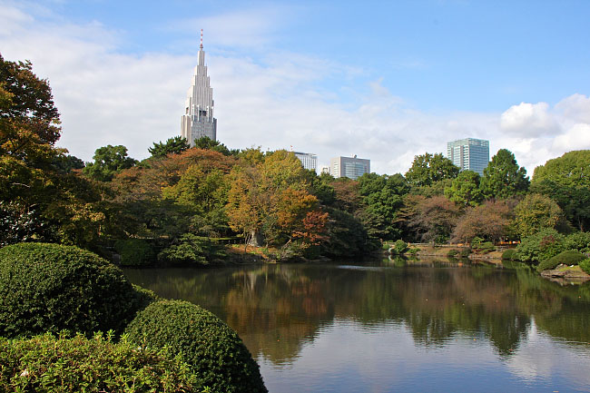 Autumn Color Report 2015: Tokyo Report