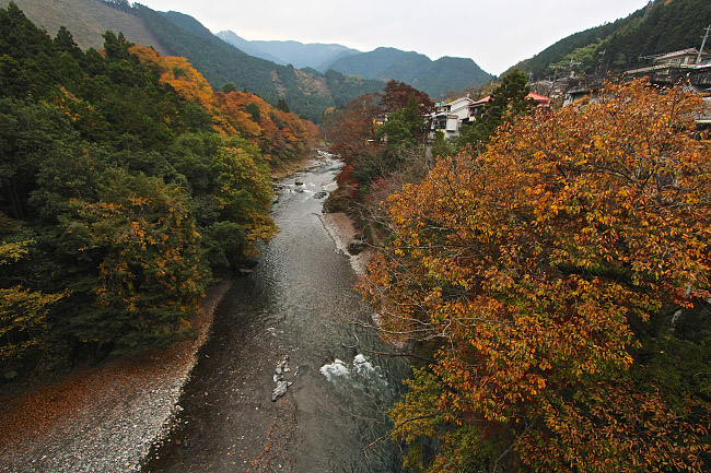 Autumn Color Report 2015: Mount Mitake Report