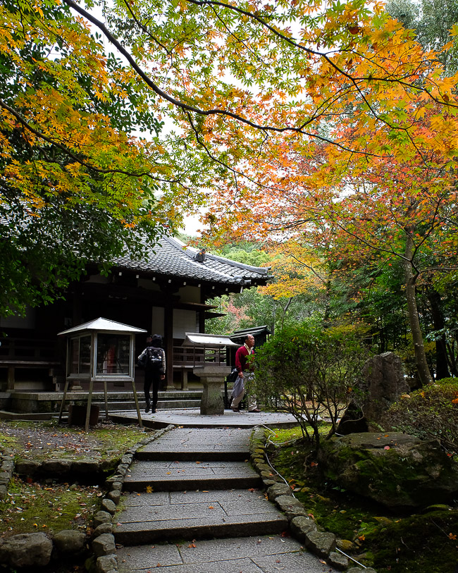 Autumn Color Report 2015: Kyoto Report