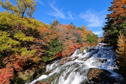 Autumn Color Report 2015: Nikko Report