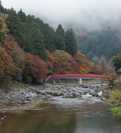 Autumn Color Report 2015: Korankei Report