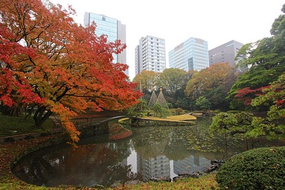 Autumn Color Report 2015: Tokyo Report