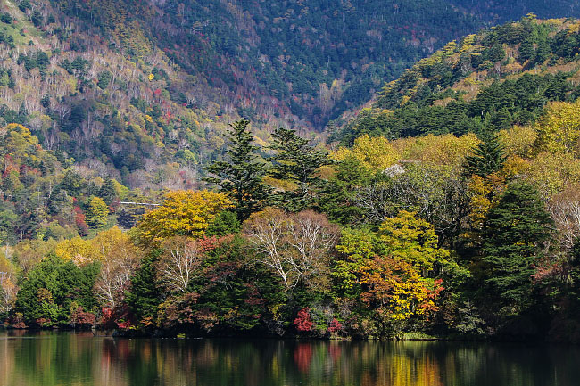 Autumn Color Reports 2016 - Nikko: Peak Colors