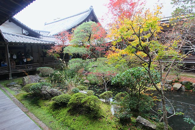 Autumn Color Reports 2016 - Kyoto: Beyond Peak