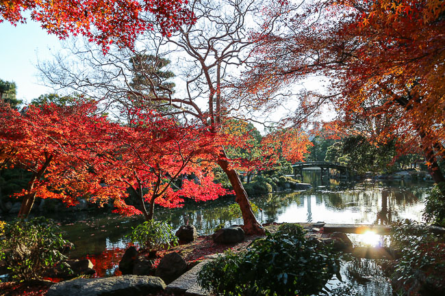 Autumn Color Reports 2016 - Kyoto: Beyond Peak