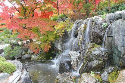 Autumn Color Reports 2016 - Sakurayama: Peak Colors