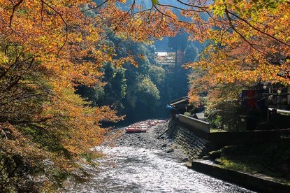 Autumn Color Reports 2017 - Kyoto: Starting to Change