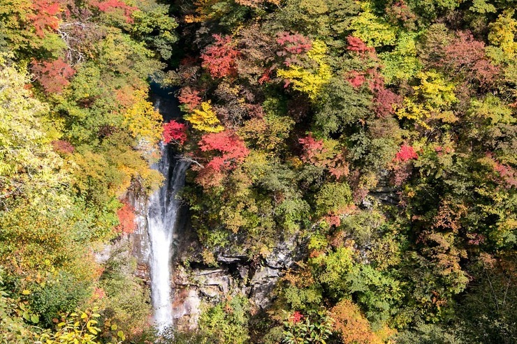 Autumn Color Reports 2017 - Nasu: Peak Colors