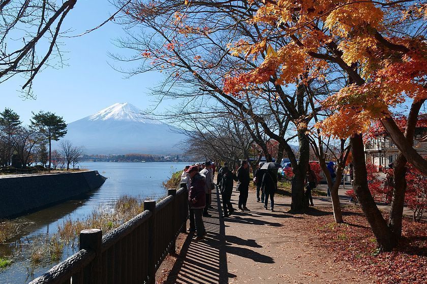 Autumn Color Reports 18 Mount Fuji Beyond Peak