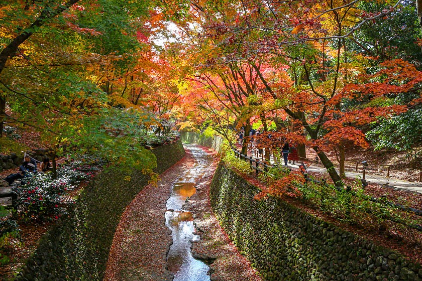 Autumn Color Reports 2018 - Kyoto: Beyond Peak