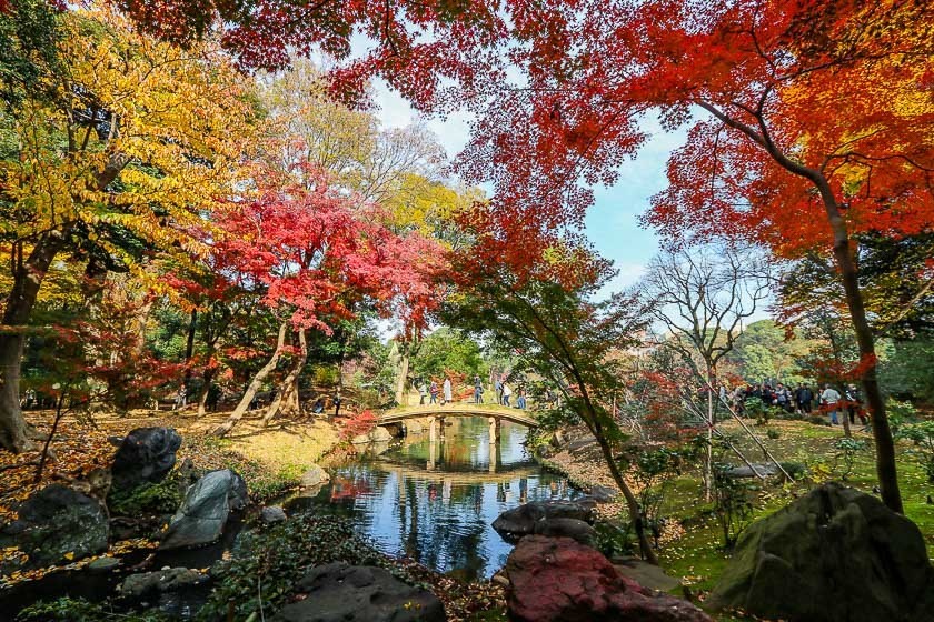 Autumn Color Reports 2018 - Tokyo: Peak Colors